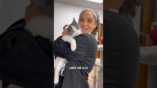 Starting off 2026 with new kitties! #corpuschristi #adoptacat #catshelter #thecatterycc #lovecats