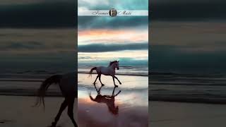 Umar Keyn ft DNDM - Abu Dhabi #shortsvideo #music #love #bestdeephouse