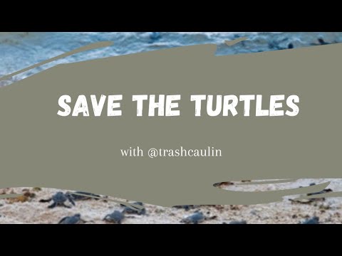 3 Ways To Save The Sea Turtles 🐢 #shorts #turtle