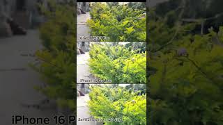 Vivo X200 Pro vs Samsung S25 Ultra vs iPhone 16 Pro Max  camera Photography Test Flagship King 2025