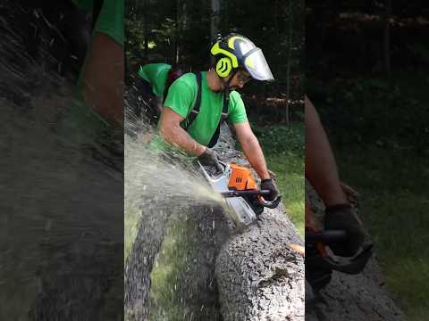 SHARPEST CHAINSAW EVER? #shorts