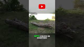 Creative Energy and overcoming blocks #creativeenergy #productivityboost #creativemindset
