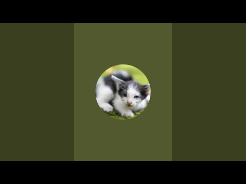 old is new is live