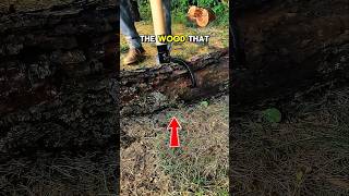 tool for supporting the wood to be cut #technology #moderntools #manufacturing