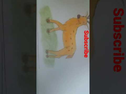 deer painting /youtube#short#r.p.m sketch art/animal