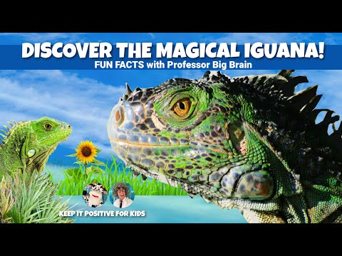 Iguana Facts for Kids 🦎 | Learn About Green Iguanas | Nature & Wildlife