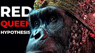 Why Human Evolution Suddenly Accelerated 100,000 Years Ago?