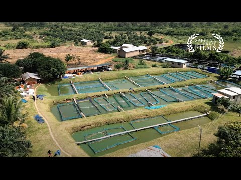 De Heus: Empowering Farmers Towards Sustainable Aquaculture Through High-Quality Nutrition