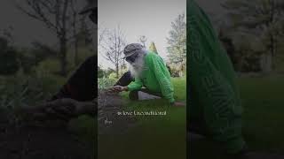 I am not love  #sadhguru #sadhguru_wisdom