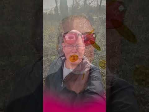 🔥 Theta LIVE: 3 Weekly Options Strategies for Steady Income (Don’t Miss It!)