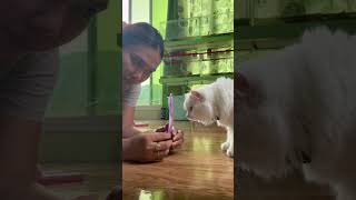 I hope it works #possitivevibes  #subscribetomychannel