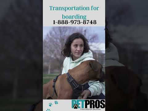 Pet Pros Taxi