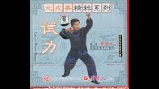 Yi Chuan Shili (Force Usage)