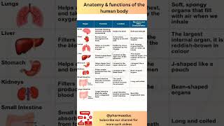 Human Body Organs & Their Functions | Anatomy Made Easy | Science for Kids & Beginners