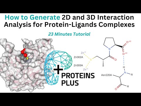 How to generate 2D and 3D Interaction Analysis Images for Protein-Ligand Complexes