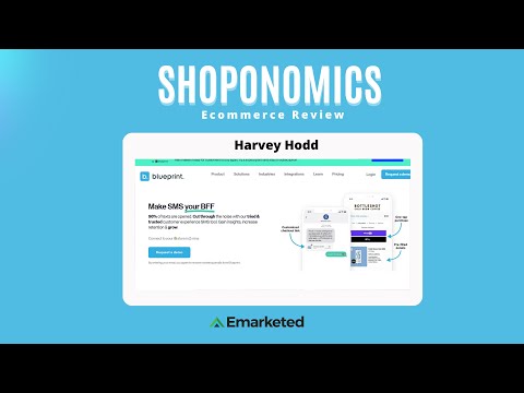 Harvey Hodd From Blueprint Interview