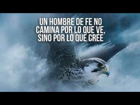 El éxito llega después de pasar muchas pruebas! Ten Fé! ✨