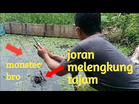 Tak disangka!!! Harus berakhir seperti ini