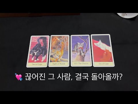 💘 끊어진 그 사람, 결국 돌아올까? [재회운, 연락운, 속마음, 관계성, 시기]