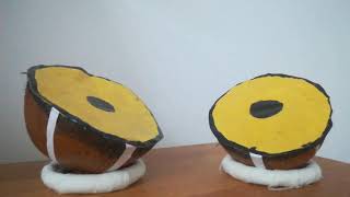 Coconut shell idea -mini tabla /Techy fun