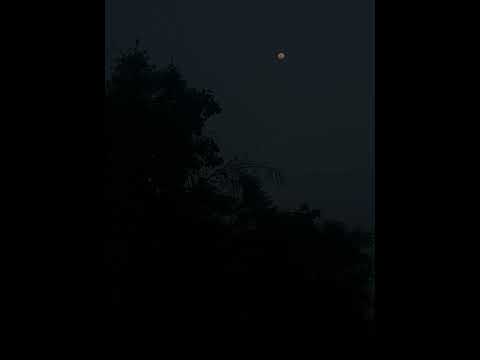 Moon photography #nature @naturelovevlogs1310    @ViratKohli.television