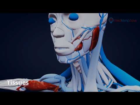 What does a CT Technician do? | MedTempNow