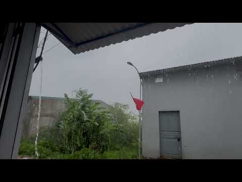 Relaxing Rainfall on a Tin Roof ⛈️😴