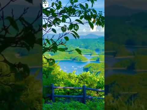 #Neture_video #mand_mand_bole #sort_video_youtube #carryminati_sorts#neture_lover #stutas#amitbdhana