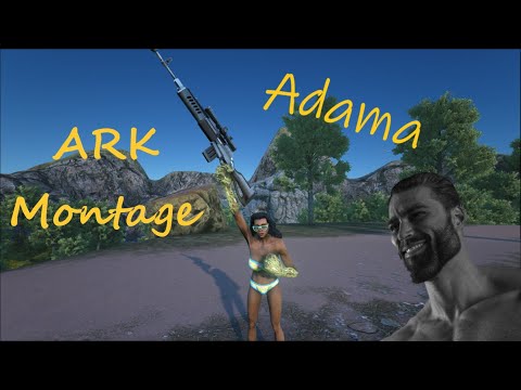 Ark Montage by Adama