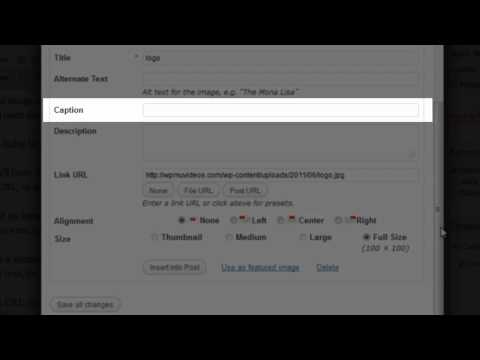 Adding an Image From Your Computer