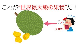 ゆっくり解説 雑学 豆知識 トリビア 聞き流し 役に立つ おもしろい 面白い 楽しい 笑える バラエティ