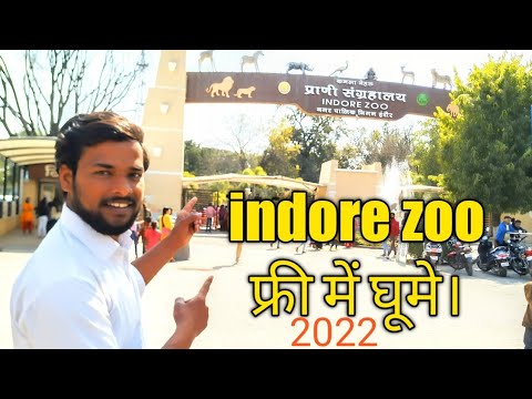 indore zoo# zoo indore. .zoo.इंदौर चिड़ियाघर। चिड़ियाघर इंदौर।