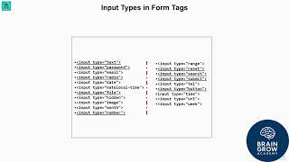 #The #FrontEnd #Web #Developer #Bootcamp #HTML #CSS #JS #ReactBuilding -  #a #Form #from #Scratch