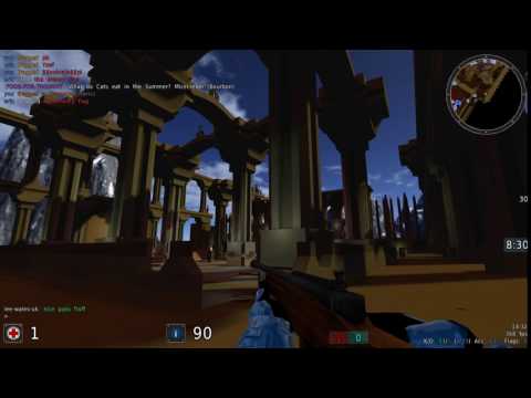Sauer: how to kill the enemy in public ictf