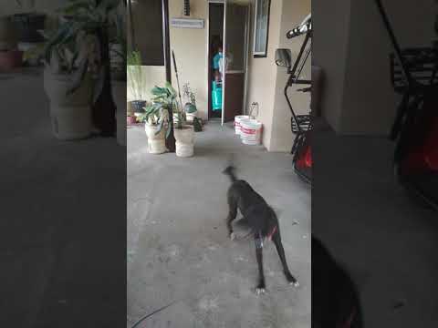 Stranger good luck