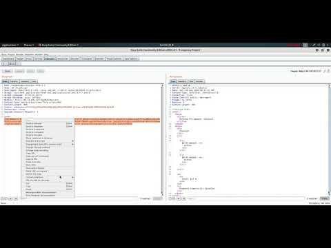 Petshop Pro Hacker101 CTF