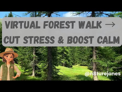 (No Ads) Nature Sounds| 🌲 9 min of virtual forest walk with birdsong (4K | HD)