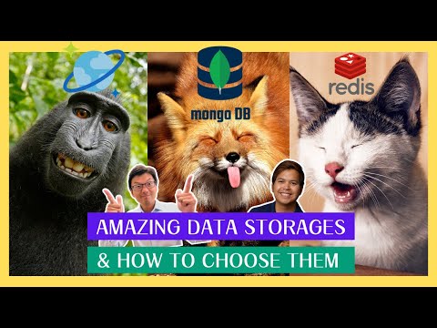 Data storage options and decision processes