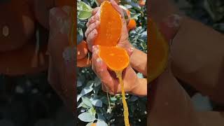 #shorts #satisfying #technicalfirdaus #tiyashx #techbarmon #allbanglatips #shortvideo