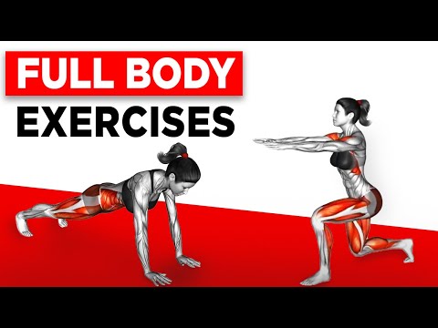 Full Body Exercises