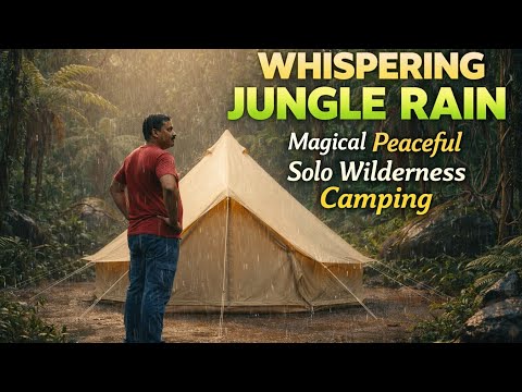 Whispering Jungle Rain: 8 Hours Cozy Solo Camping in Constant Gentle Rain | Magical Bell Tent ASMR