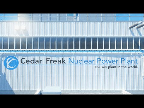 CEDAR FREAK