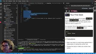 Change anchor's text color - CSS Interactive Exercises/Course