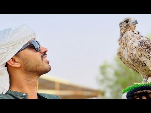 आईपीएस सफीन हसन New viral video !Ips safin Hasan motivational story