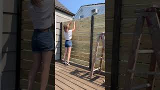EASIEST DIY PRIVACY WALL || #diy #backyard