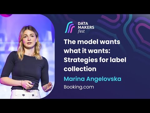 The model wants what it wants: Strategies for label collection by Marina Angelovska