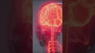 Human Brain Facts #brainscience #brainstudy #facts #science #brain #brainpower