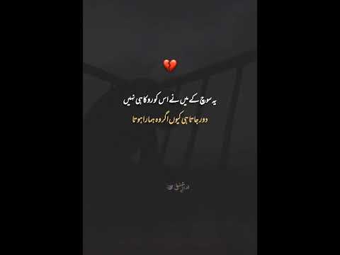 Poetry Tik Tok | Tik Tok Poetry | Tik Tok Poetry Status | Sad Poetry Tik Tok | Sufi Poetry ||