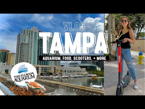 let's go see some sea turtles!! | TAMPA VLOG at the Florida Aquarium, University of Tampa + downtown