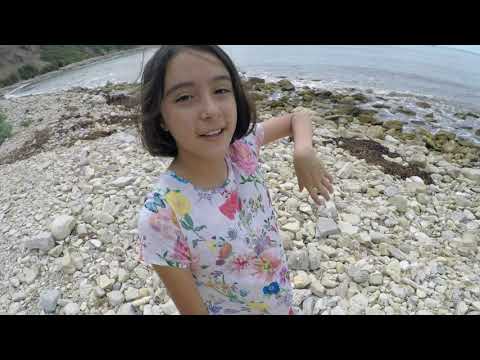Olivia the Explorer eats a Lizard